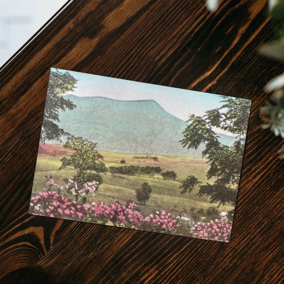 Massanutten Springs Station Harrisonburg Virginia Postcard - Picture 1 of 14